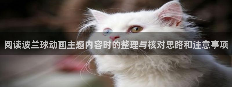 奇漫屋最新新作:阅读波兰球动画主题内容时的整理与核对思路和注意事项配图